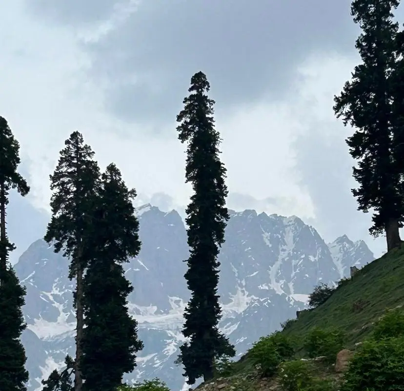 Al Buruj Mountain Landscape